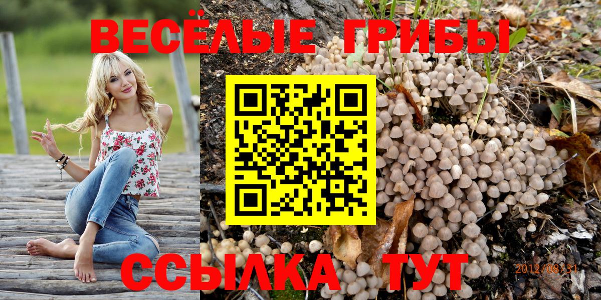 Дзержинск  Псилоцибиновые грибы Cubensis  Вход с VPN 